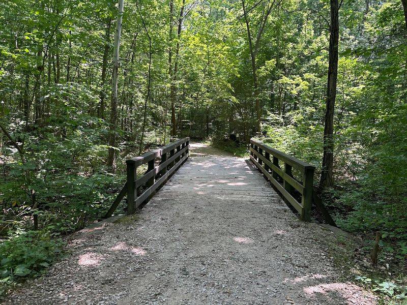 Overlook Trail at Blendon Woods Metro Park, Columbus, OH