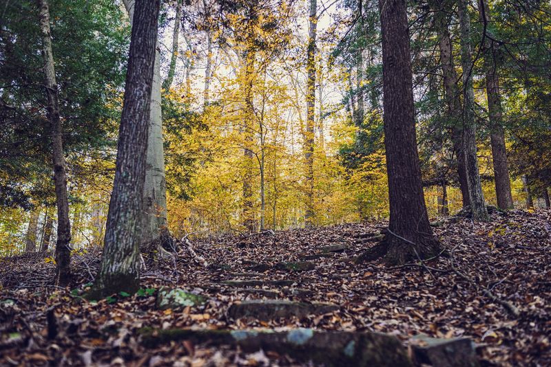 Park Loop Trail, Shawnee State Park, West Portsmouth, Ohio