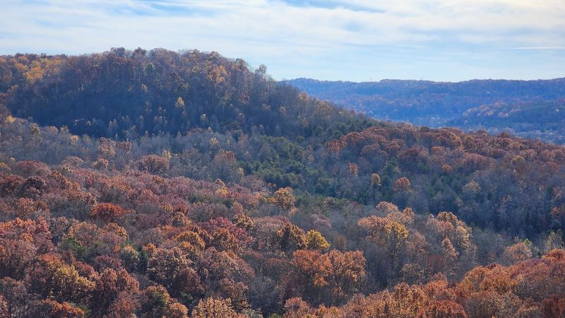 Buzzardroost Rock Overlook, West Union Buzzardroost Rock Overlook, West Union