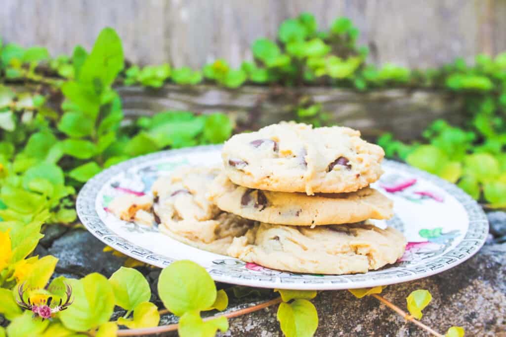 Chocolate Chip Cookies with Pudding Mix Ever After in the Woods