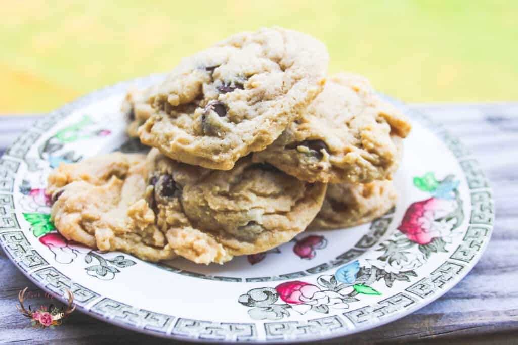 Chocolate Chip Cookies with Pudding Mix