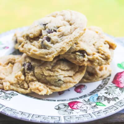 Chocolate Chip Cookies with Pudding Mix