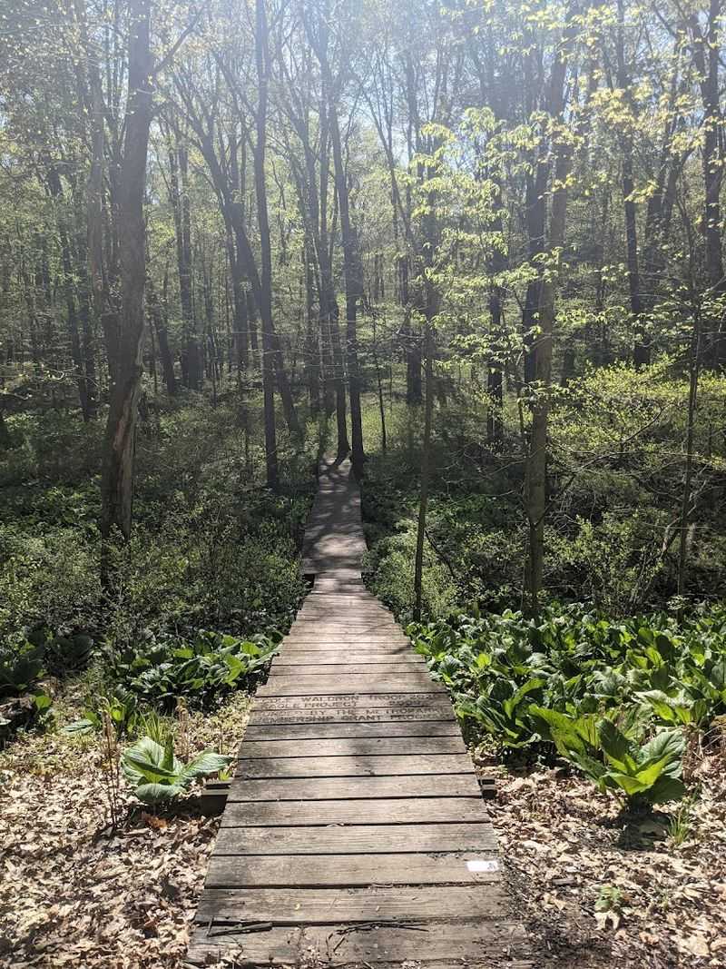 CCC and WPA History Woven Into the Landscape