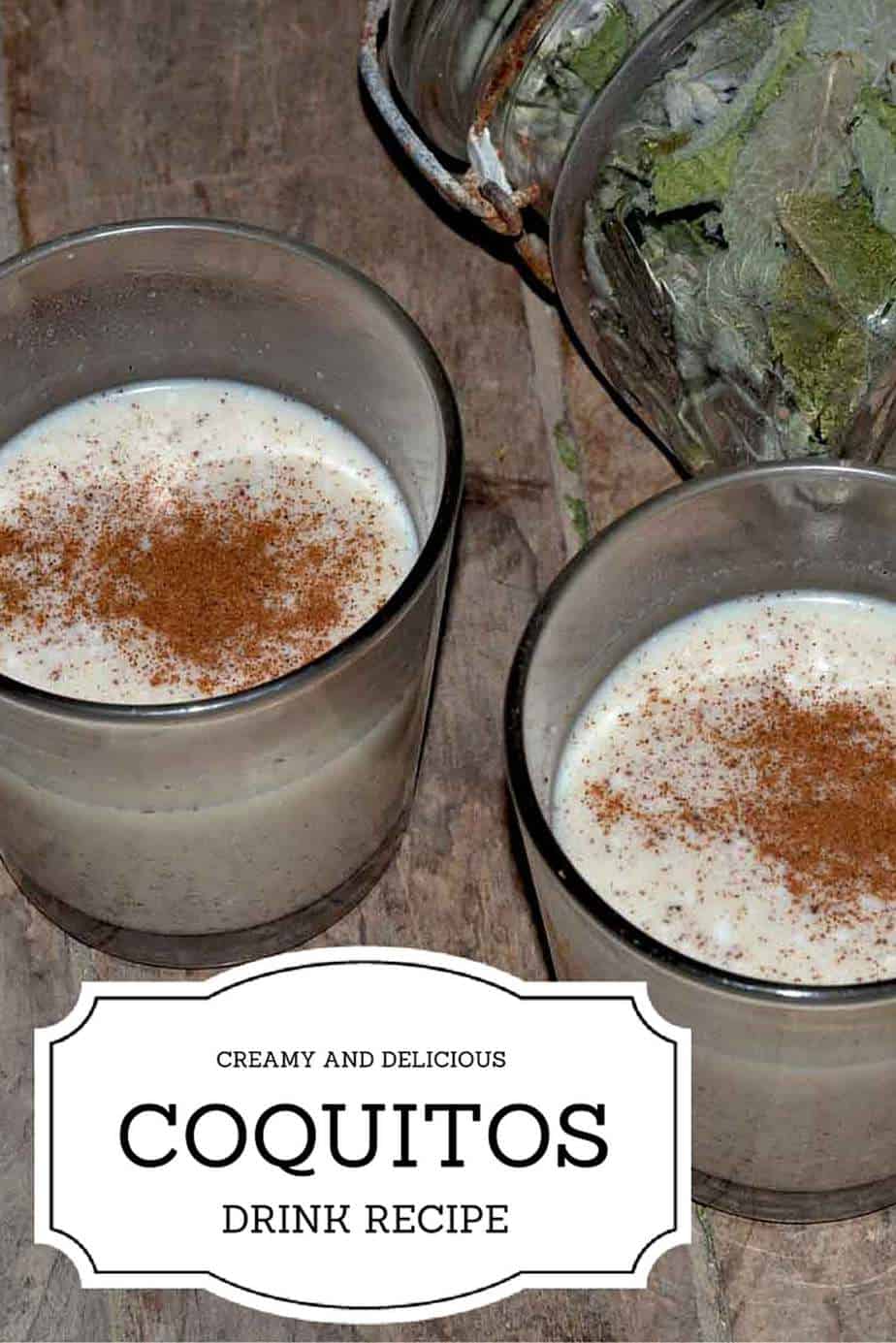 Puerto Rican Coquito Drink Recipe Ever After in the Woods