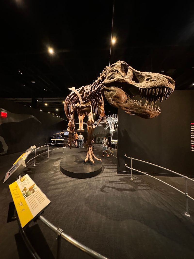 COSI, Columbus