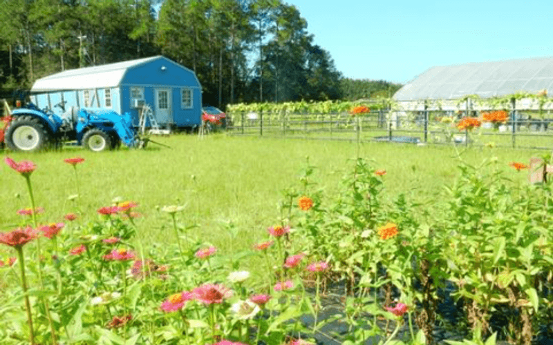 Veteran-Owned And Community-Focused