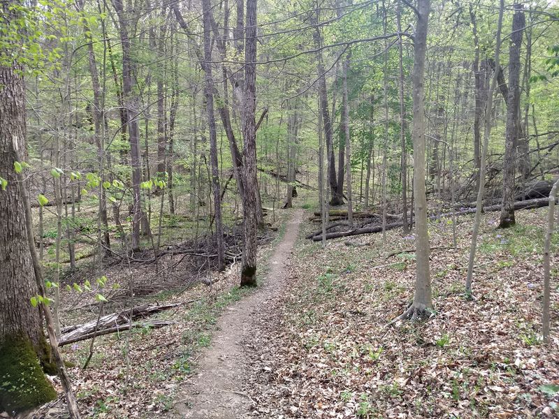 Trails That Challenge and Reward