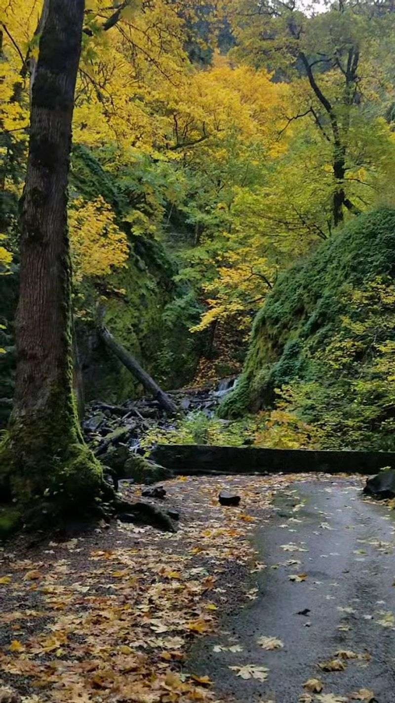 Lancaster Falls Lookout