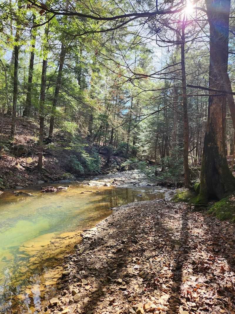 Wildlife, Birds, and the Quiet Rewards of Slower Hiking