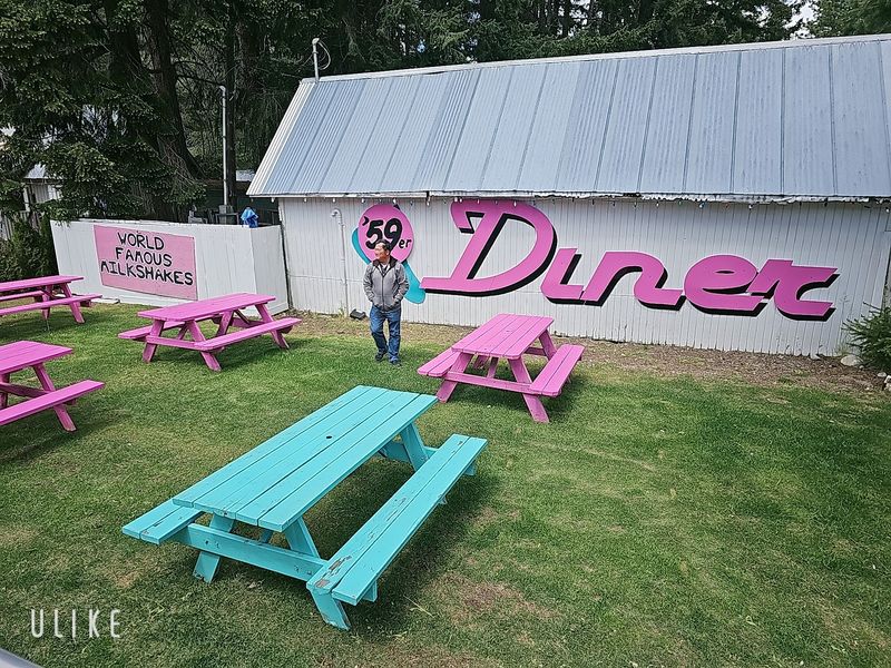 Cabins Behind the Counter