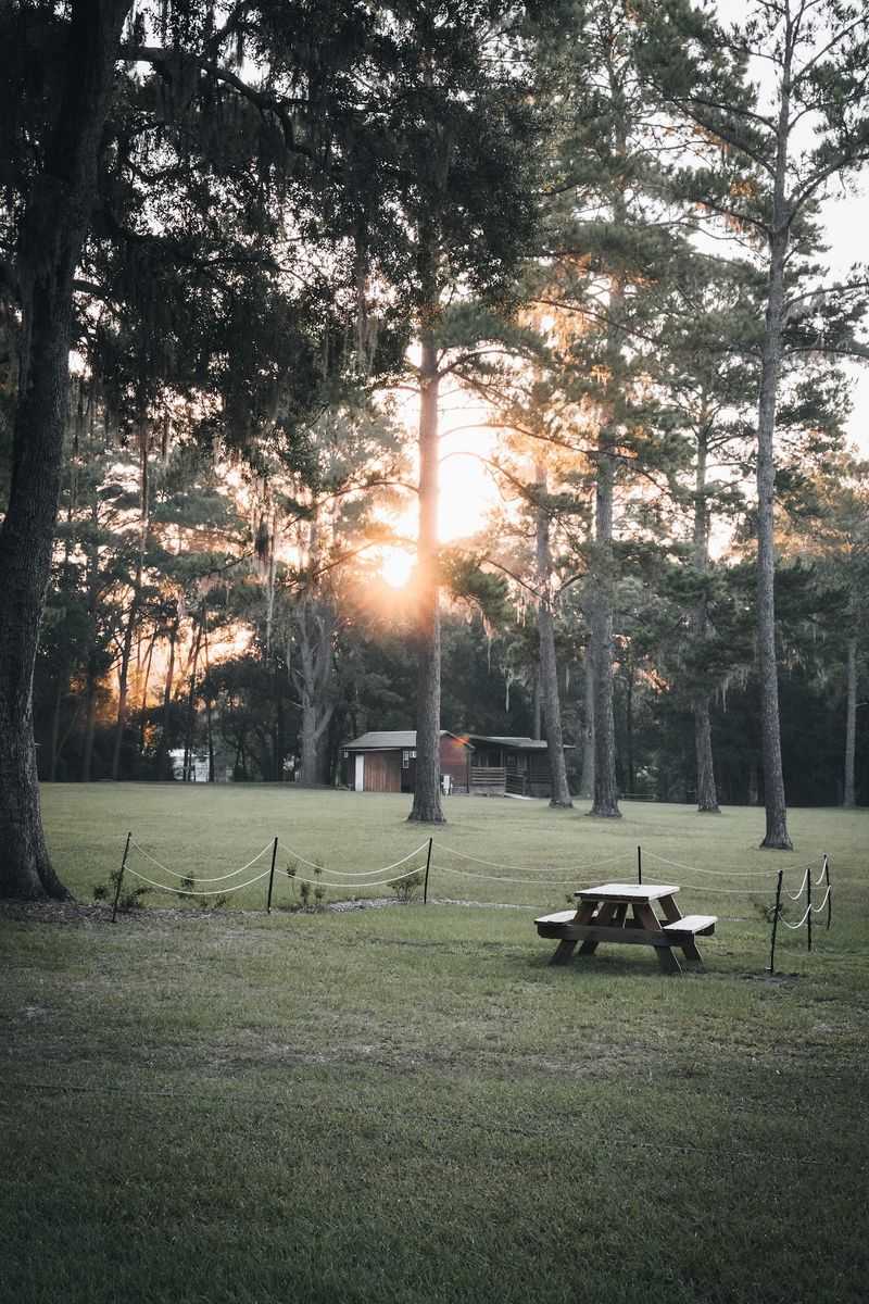 Cabins, Cottages, And Camping Under The Stars