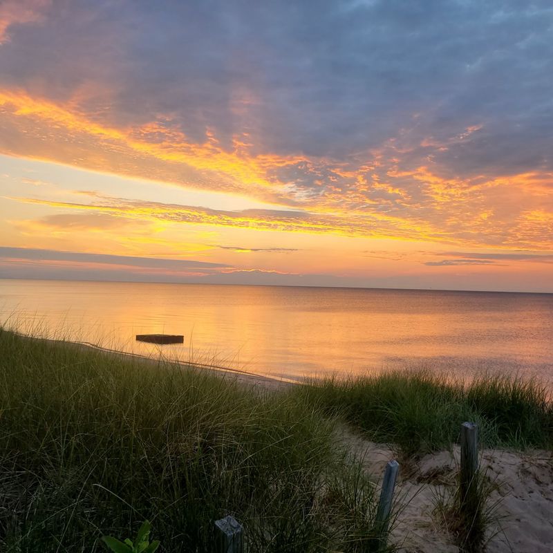 Cabins, Hammocks, And About 140 Spots To Call Home