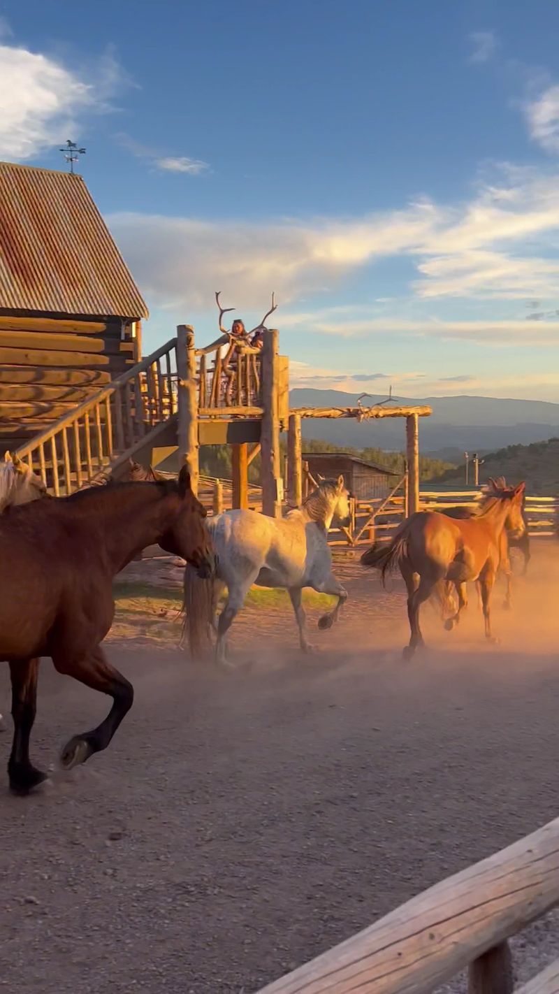 Horseback Riding Without the Pressure