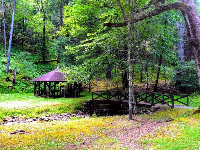 Cabins, Trails, And A Lookout Wait Just Down The Road