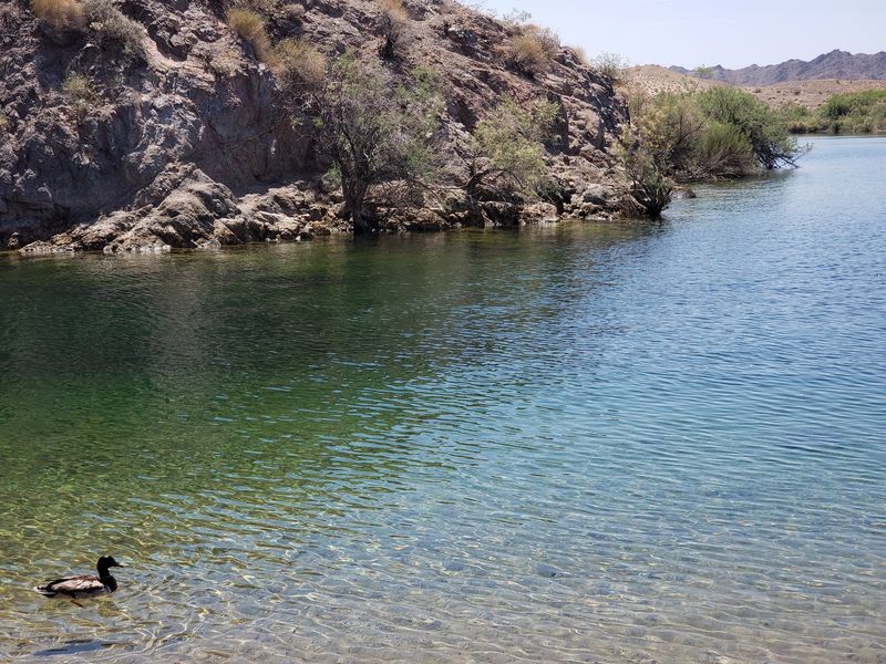 Cabinsite Point, Lake Mohave Near Bullhead City