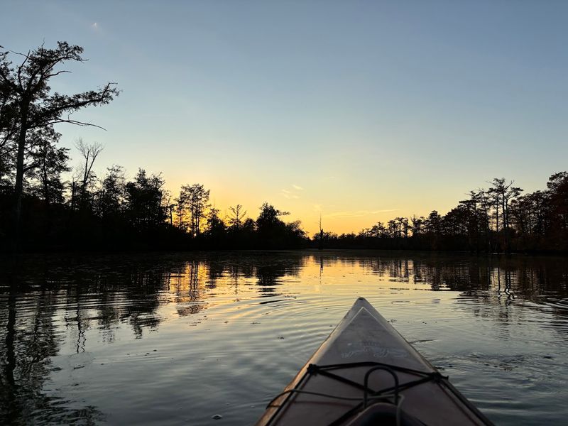 Cache Bayou Outfitters, Cache River Wetlands