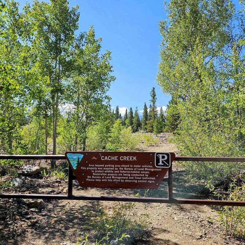 Cache Creek Placer Area