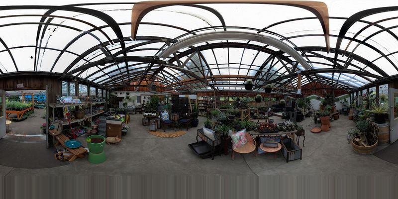 Cacti, Succulents And The Cactus Room