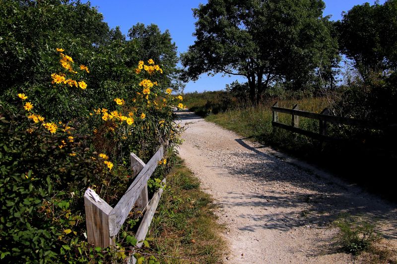 Cactus, Bearberries, And Hundreds Of Bird Species