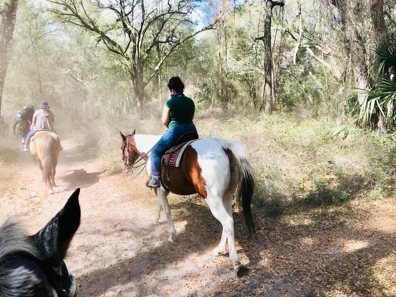Cactus Jack's Trail Rides and Farm Tours, Ocala