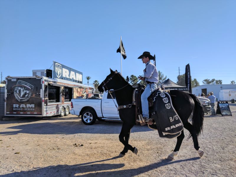 La Fiesta De Los Vaqueros