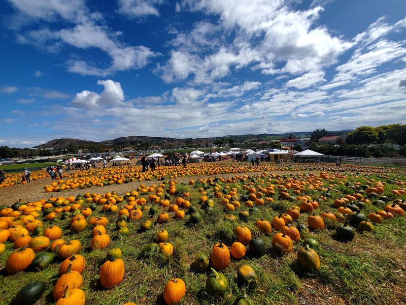 Cal Poly Pomona PumpkinFest Cal Poly Pomona PumpkinFest