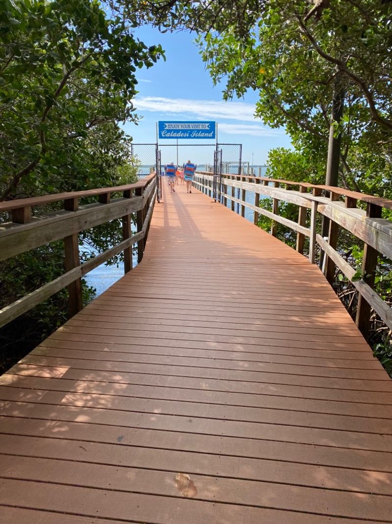 Caladesi Island Ferry, Honeymoon Island To Caladesi Island