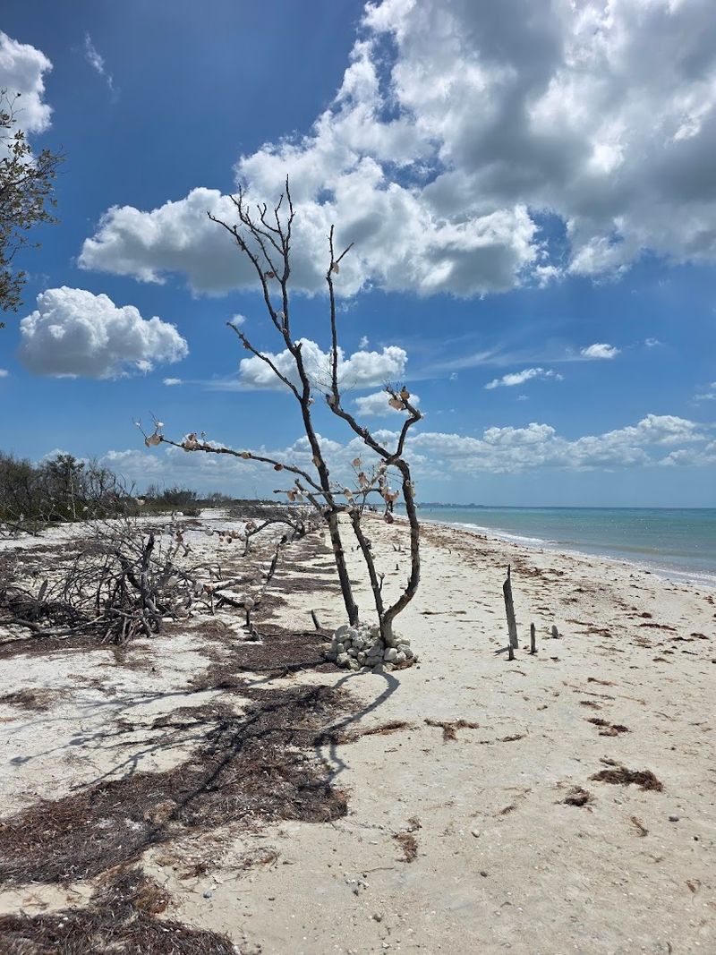 Honeymoon Island State Park, Dunedin