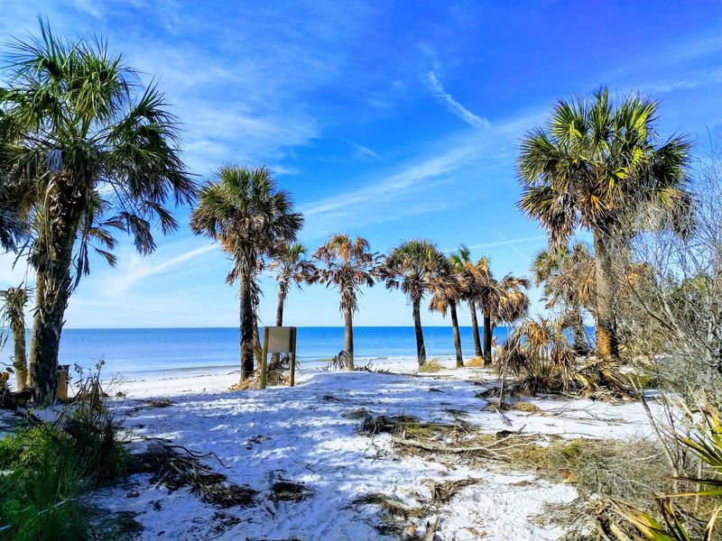 Caladesi Island State Park, Dunedin