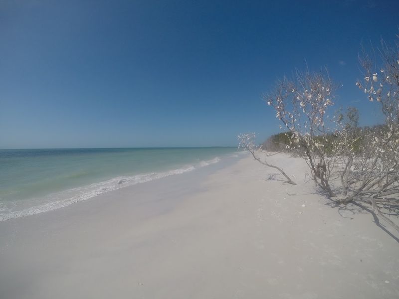 Caladesi Island State Park, Dunedin, Florida Caladesi Island State Park, Dunedin, Florida