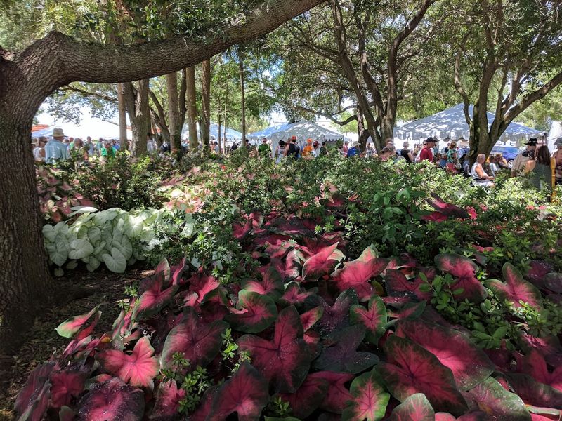 Caladium Festival, Lake Placid