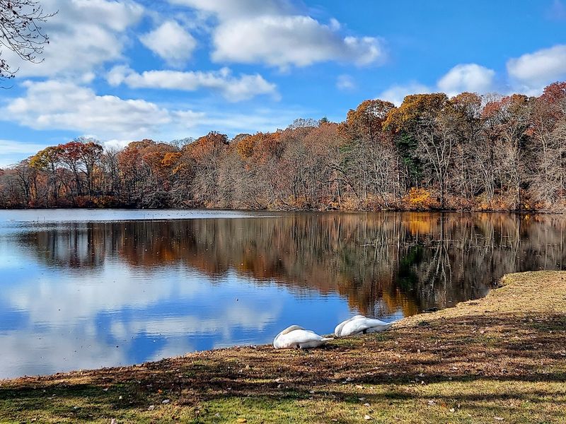 Caleb Smith State Park Preserve