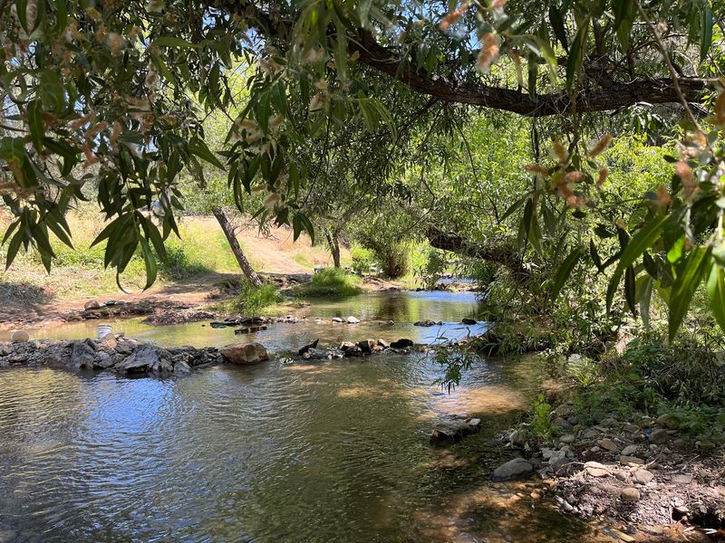 California Gold Panning California Gold Panning