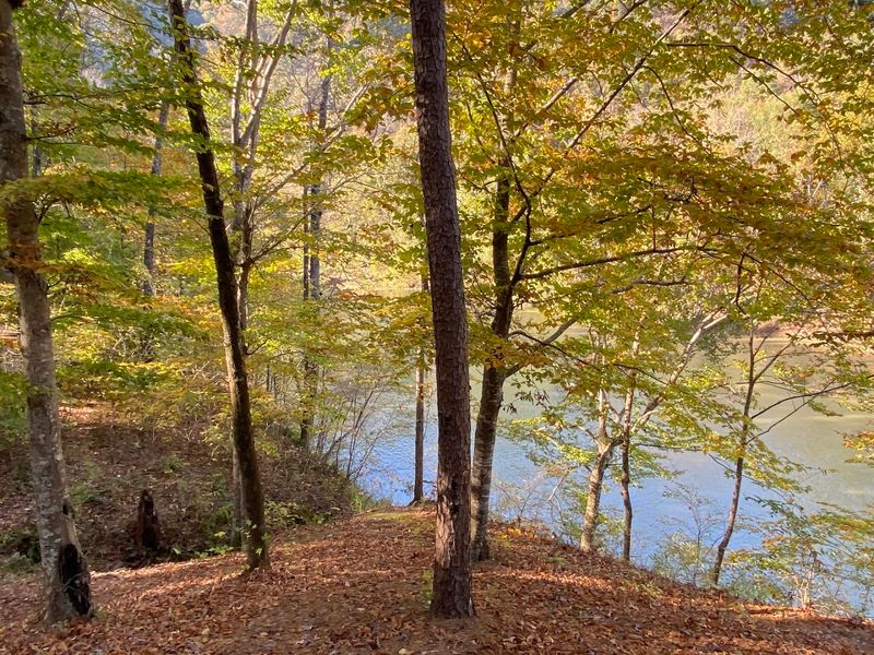 Quiet Backroad Access That Keeps Crowds Away