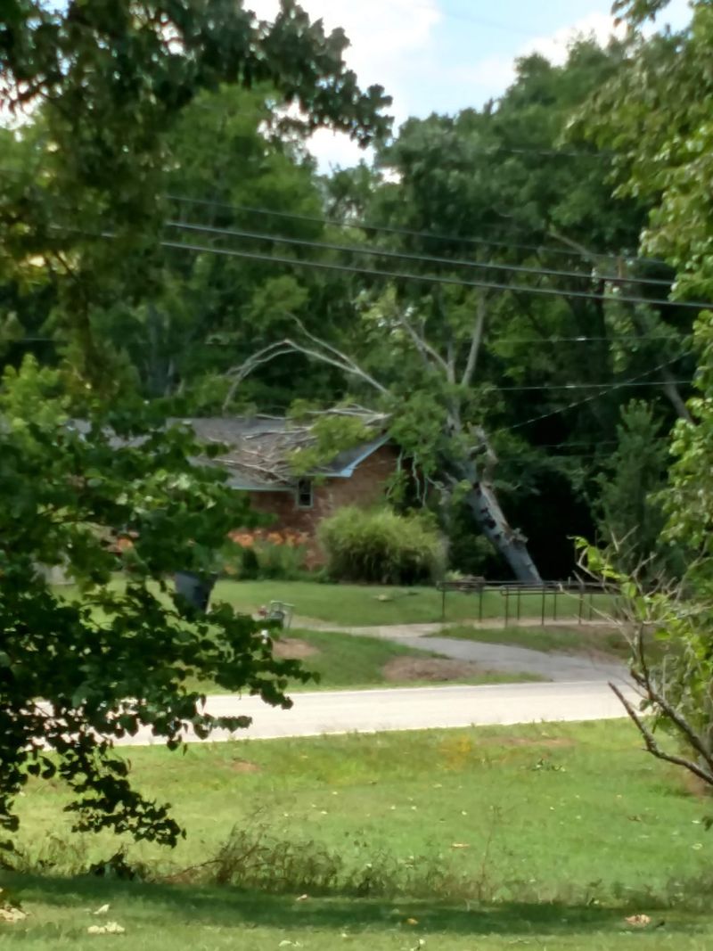 Calm Neighborhoods Set The Pace