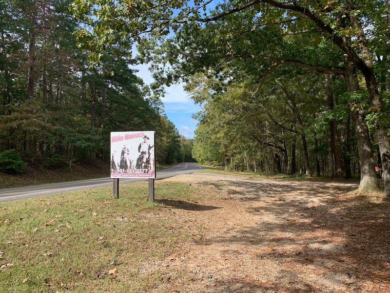 Guided Rides Designed For First Time And Casual Riders