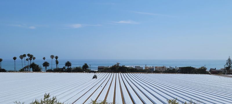 Pismo Beach to Santa Barbara via Highway 101 and Coastal Spurs