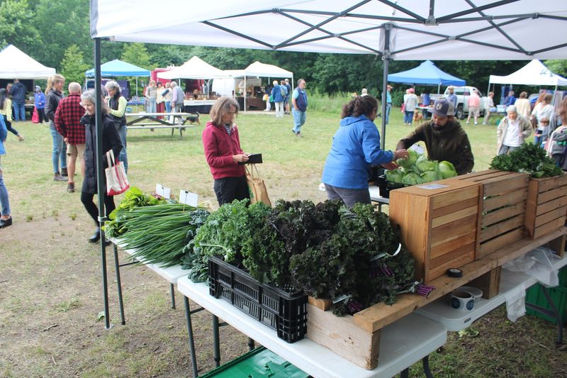 Camden Farmers' Market, Camden