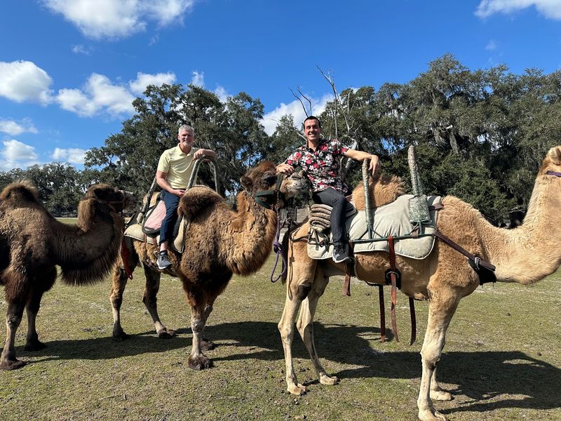 Camels, Otters, And A Cheetah Named Dash