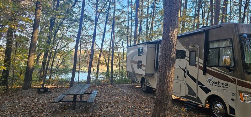 Camp Beneath The Trees
