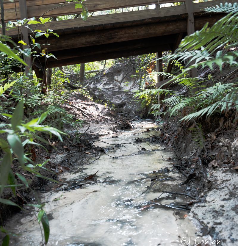 Hidden Waters Preserve Waterfall - Eustis