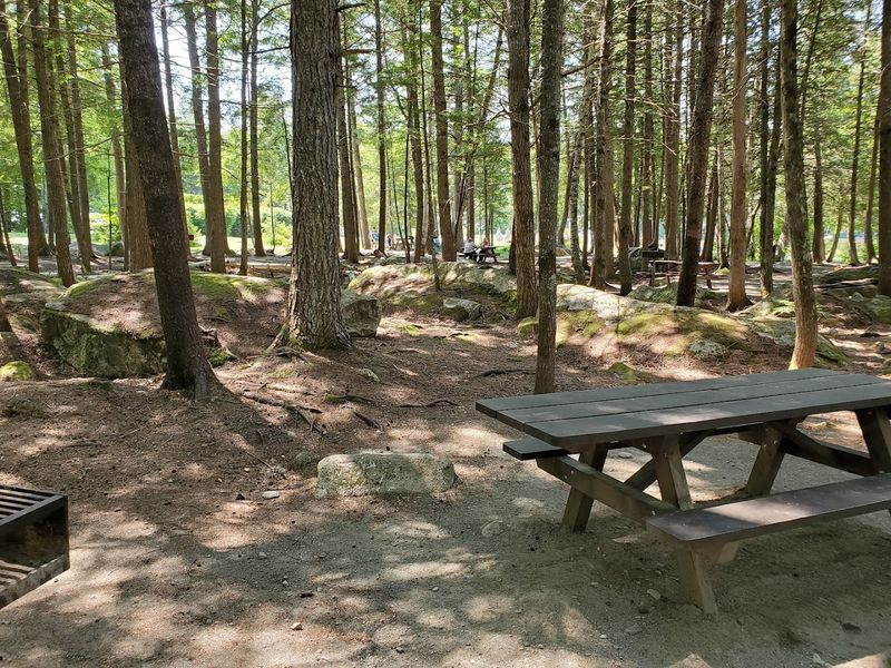 Camp Close To The Water