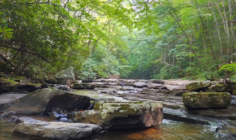 Camp Creek State Park Campgrounds