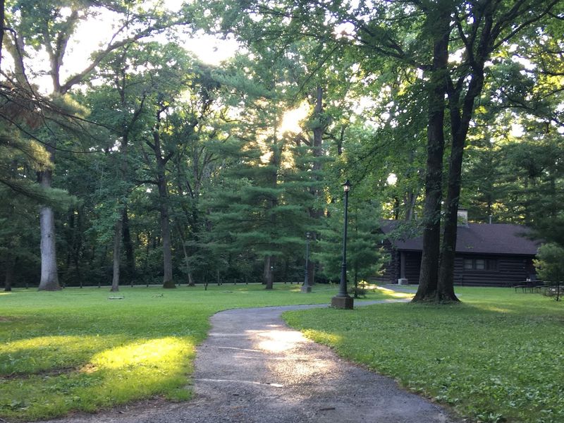 Camp Deep In The Pines