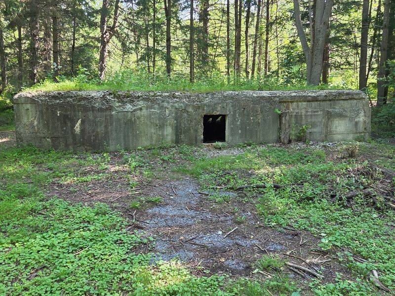 Camp Michaux Ruins, Michaux State Forest