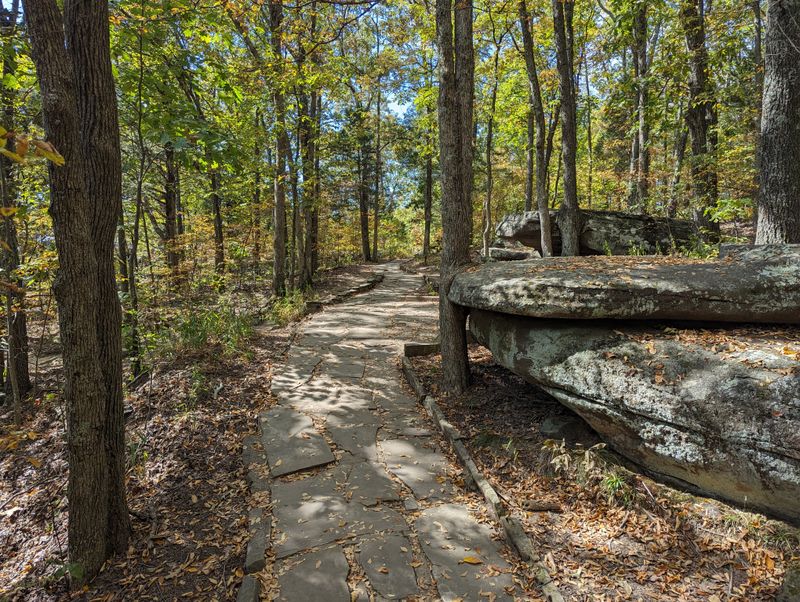 Wildlife, Plants, And The Quiet You Came For