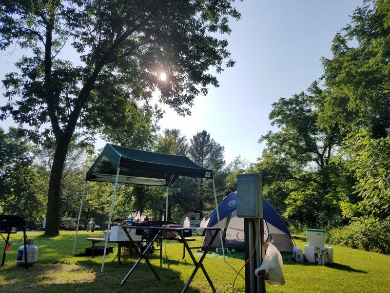 Picnic Shelters And Lazy Afternoons