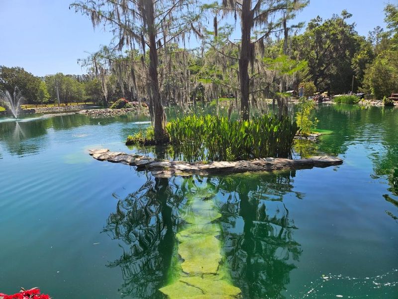 The New Lagoon And Grounds