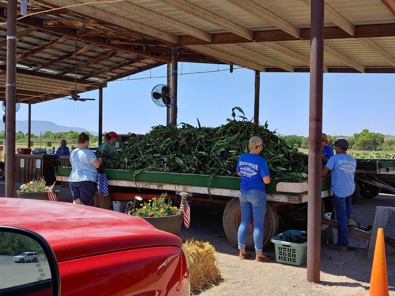 Camp Verde Corn Fest, Camp Verde
