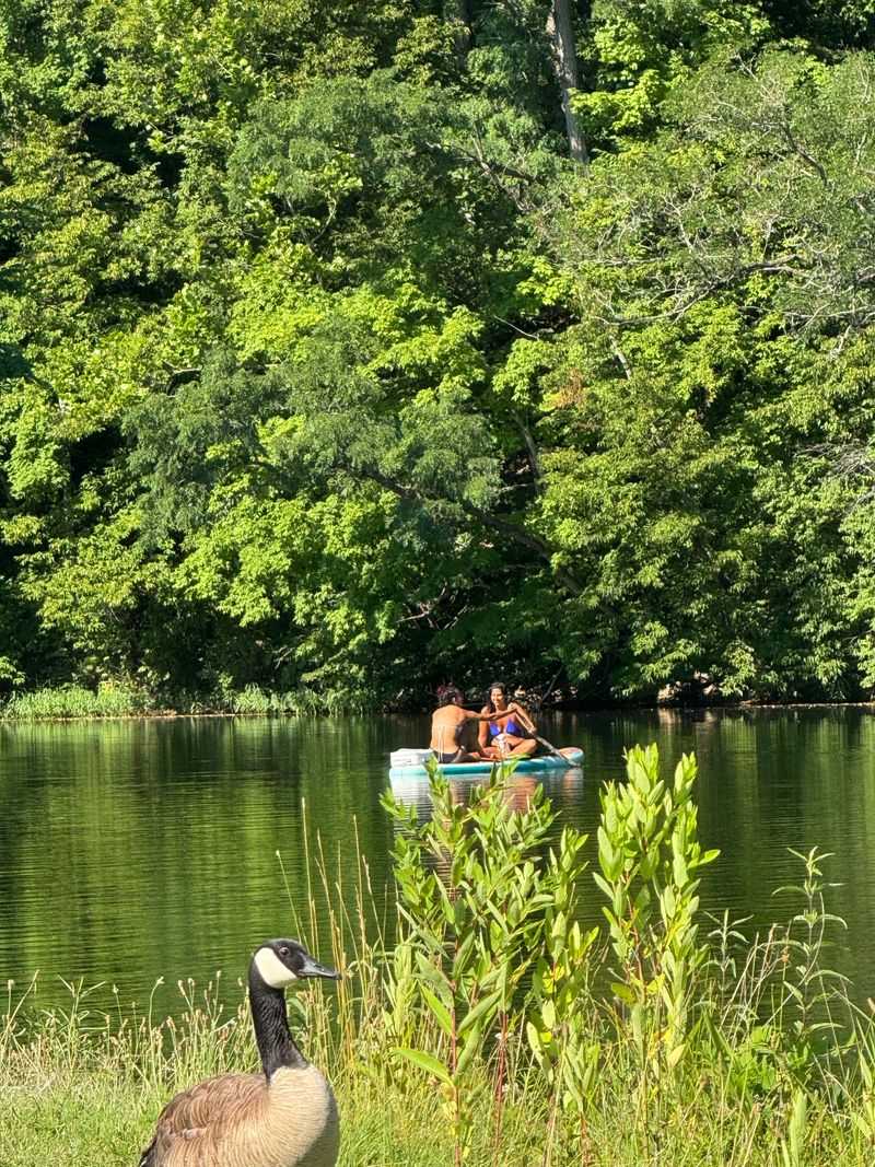 Kayaks, Tubes, And A Friendly Current